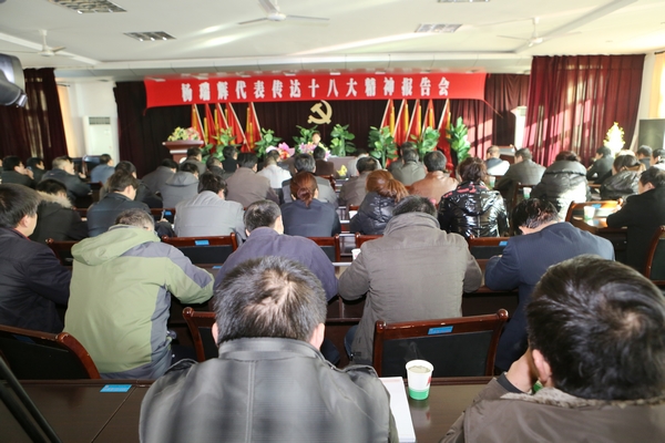 十八大代表?xiàng)钊疠x宣講十八大精神 十八大代表?xiàng)钊疠x宣講十八大精神