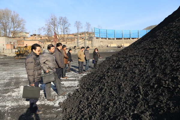 檢查組成員深入煤場了解煤質情況 檢查組成員深入煤場了解煤質情況